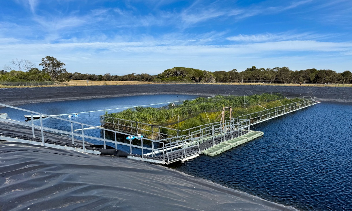 floating_wetland_thumbnail.jpeg