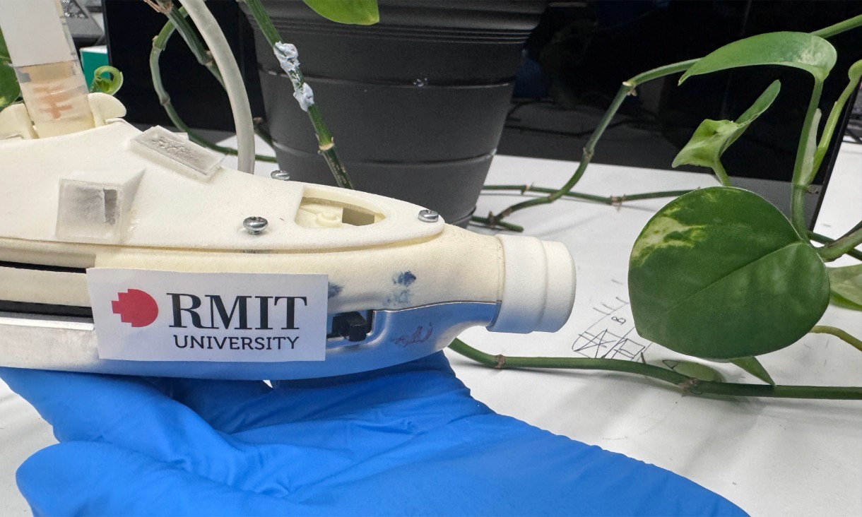 news-rmit-plant-sunscreen-1220px.jpg
