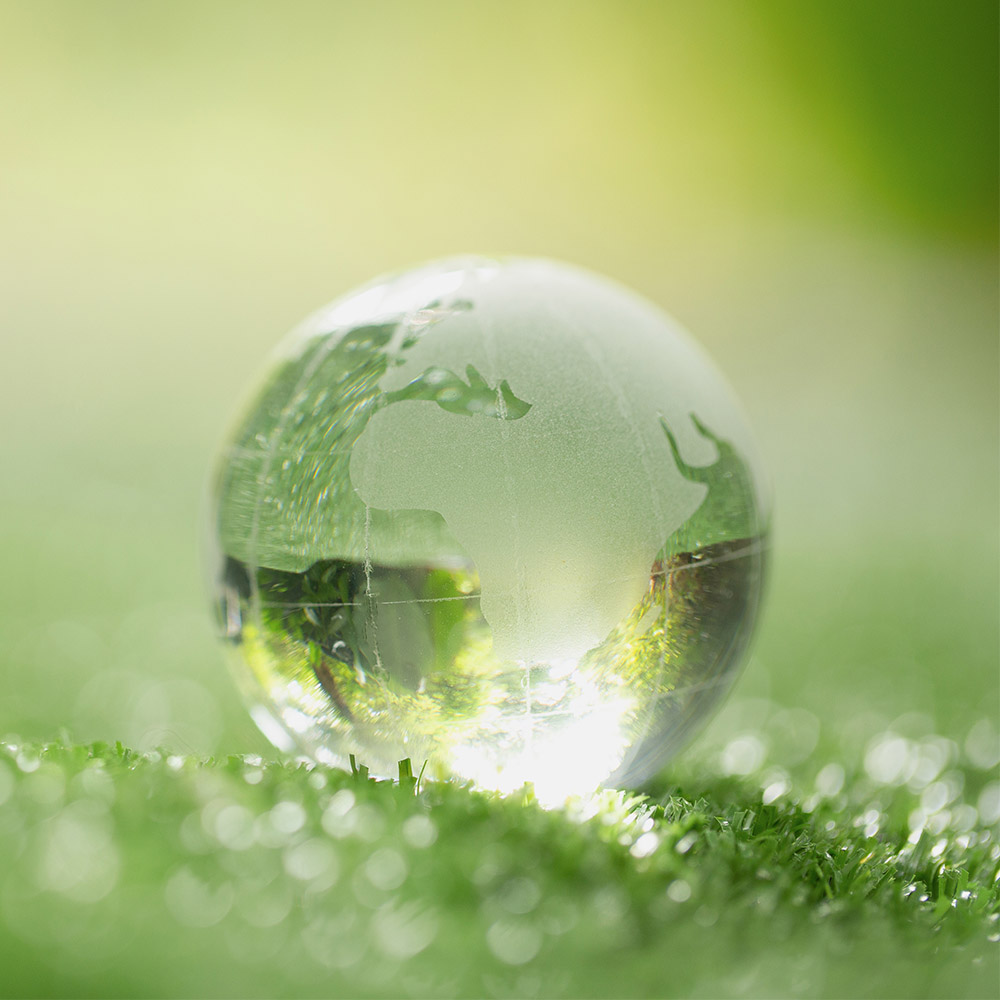 Close up of crystal globe resting on grass in a forest - environment concept 