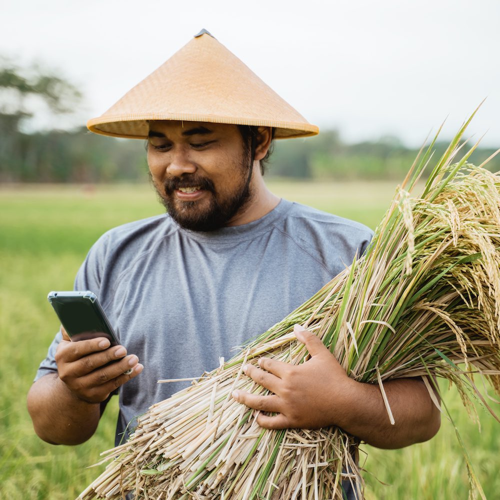 farmer using smart technology gadget for agriculture