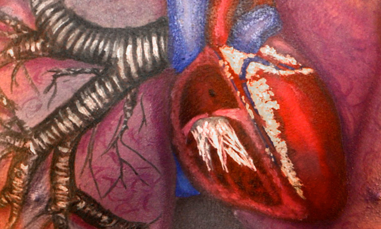 Anatomical painting of heart and lung on body