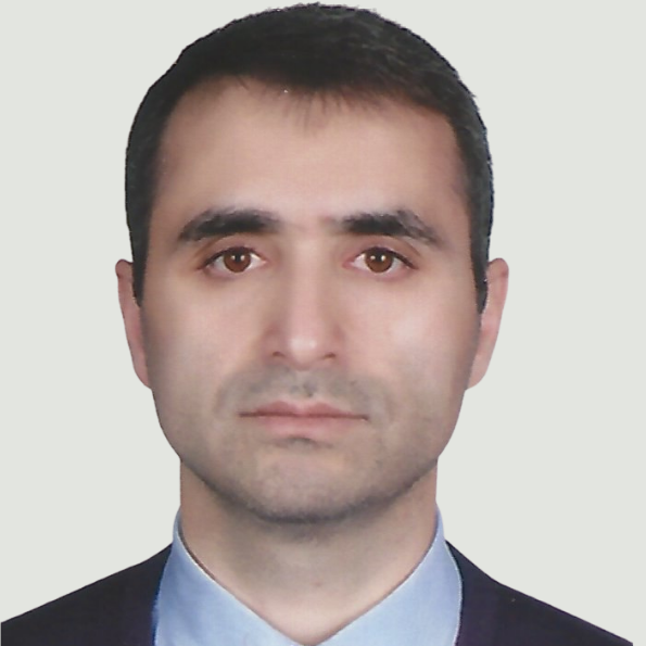 Mohsen Moshrefzadeh – Research Fellow (Safety4Rails)