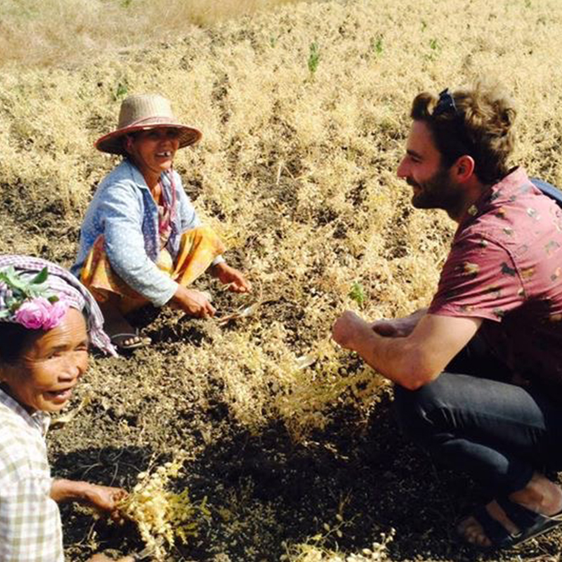 RMIT student, Zac, talks to locals in a field in Myanmar