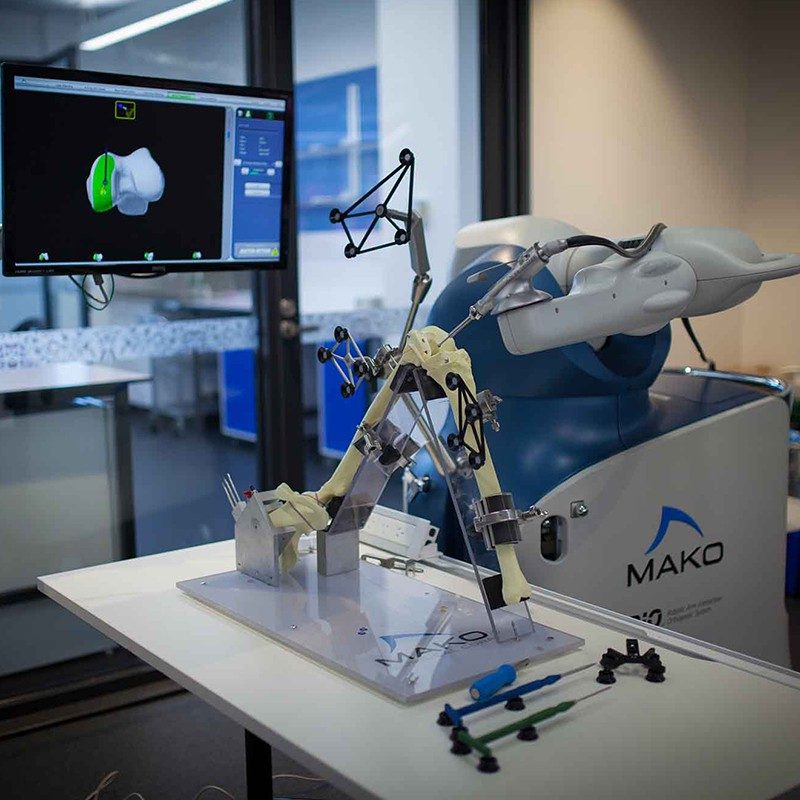 Biomedical Sciences Rmit University