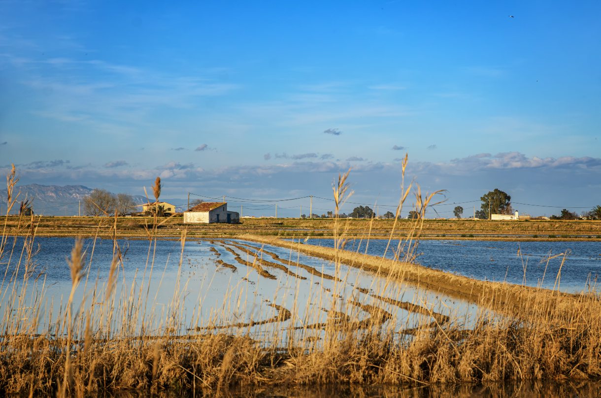 ebro-delta-thumbnail1.jpg
